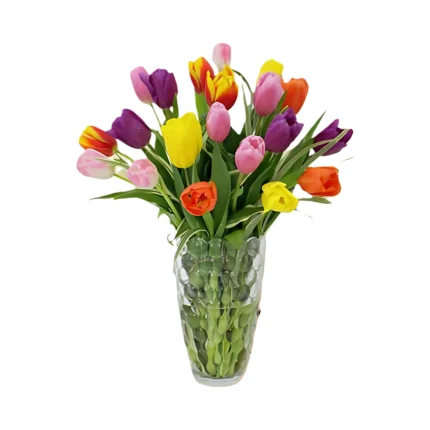 Arreglo de 20 tulipanes
