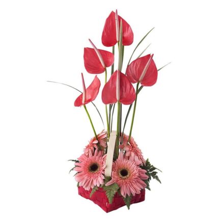 ARREGLO DE ANTURIOS y GERBERAS 3