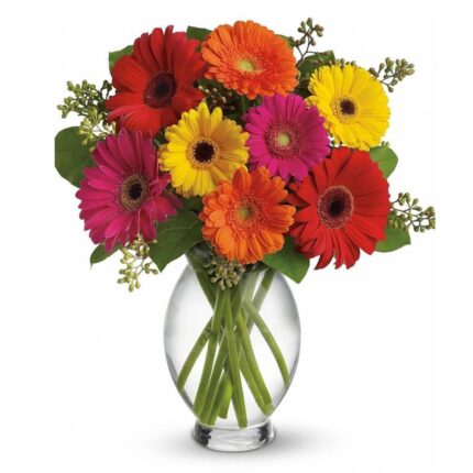 ARREGLO DE GERBERAS 5