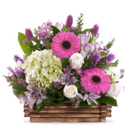 ARREGLO DE GERBERAS 6